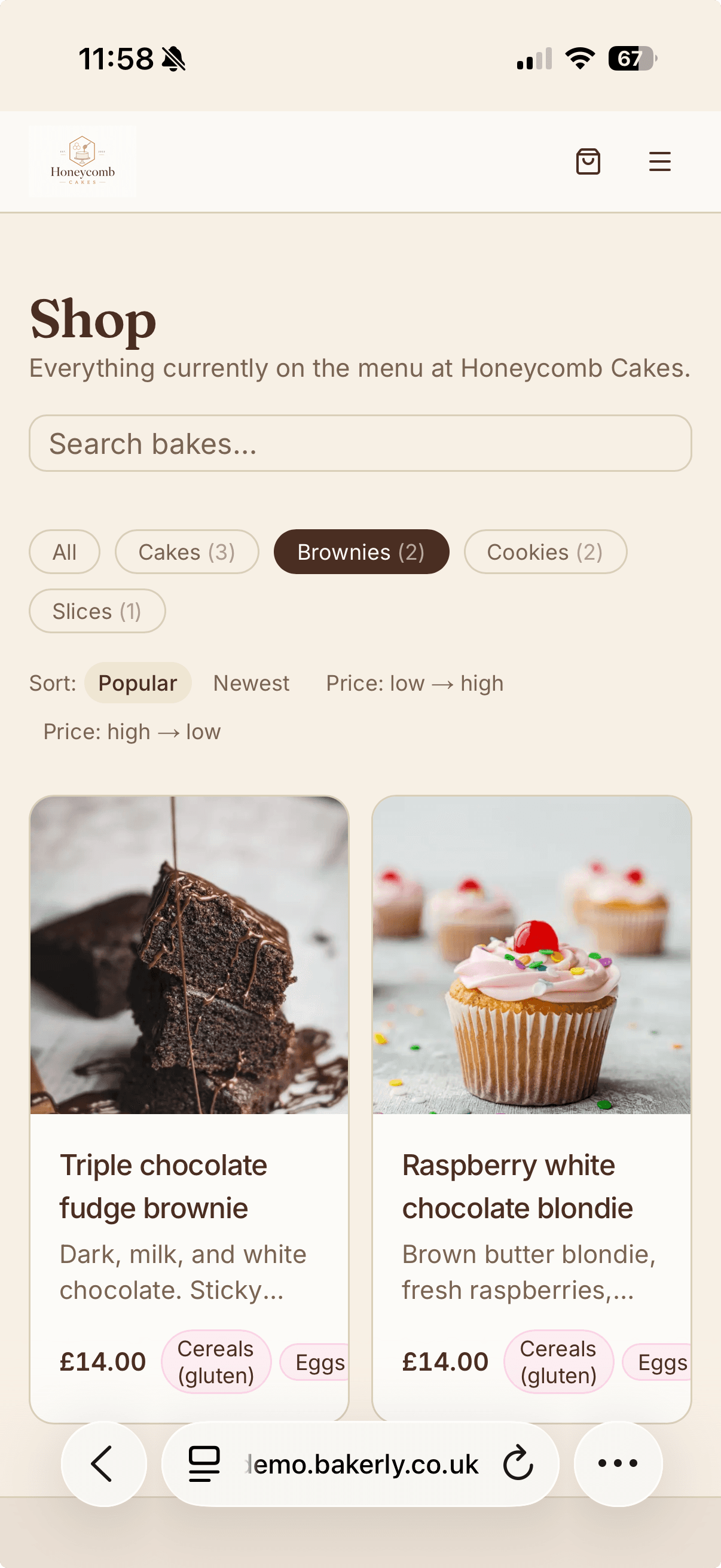 Storefront on a phone